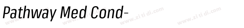 Pathway Med Cond字体转换 Pathway Med Cond字体转换